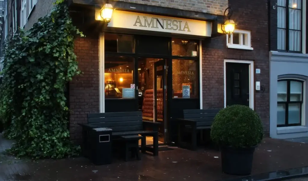 Amnesia Coffeeshop Amsterdam – Stylish Canal-Side Exterior of a Top-Rated Cannabis Café