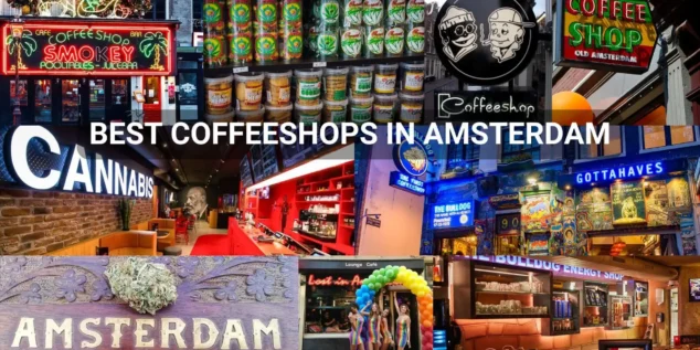 Best coffeeshops in Amsterdam popular cannabis spots in the city center