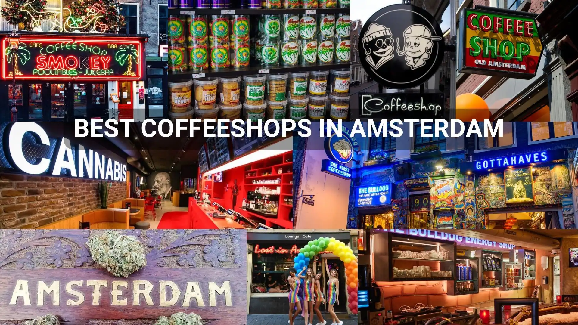 Best coffeeshops in Amsterdam popular cannabis spots in the city center