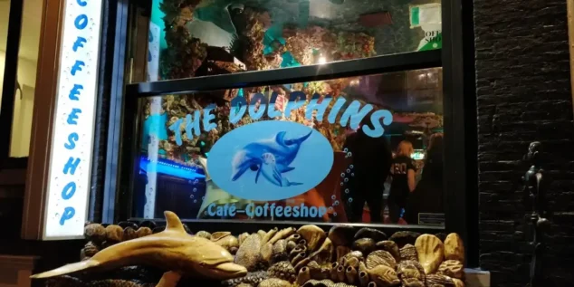 The Dolphins Coffeeshop Amsterdam – Unique Underwater-Themed Cannabis Café Near Leidseplein