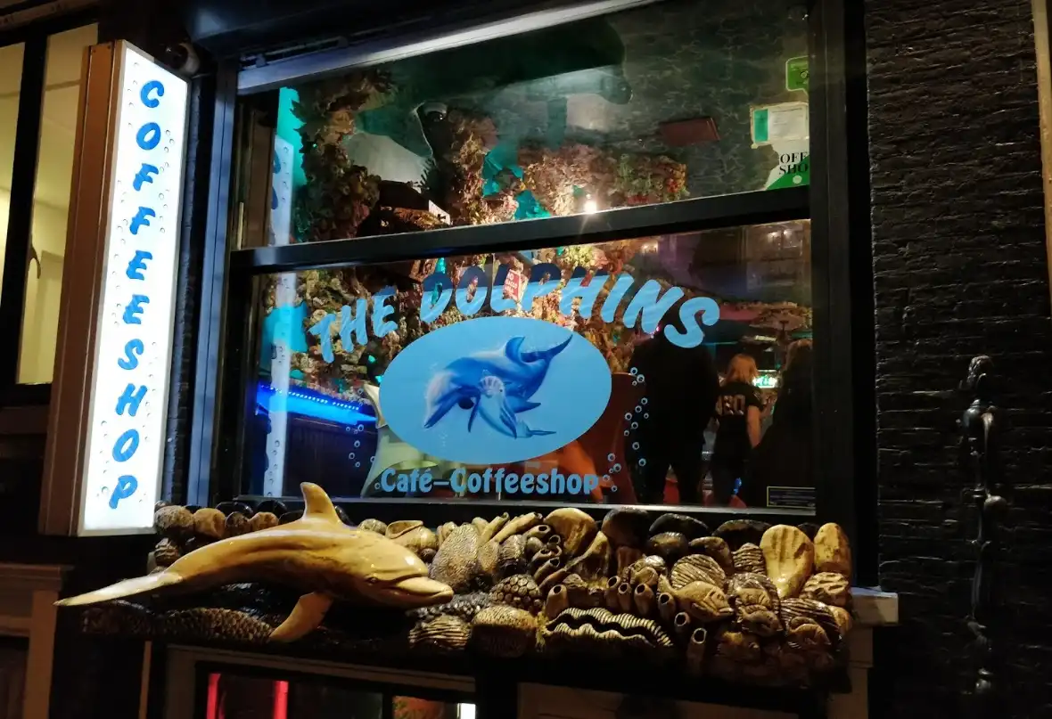 The Dolphins Coffeeshop Amsterdam – Unique Underwater-Themed Cannabis Café Near Leidseplein