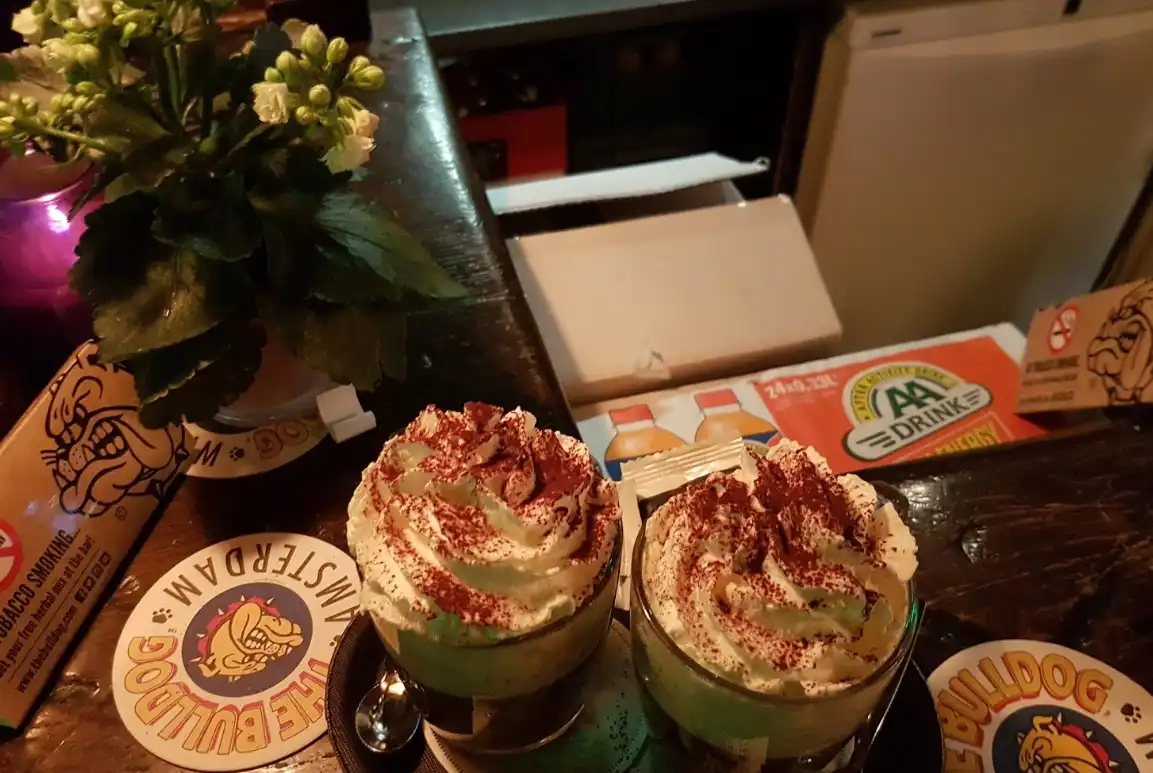 The Bulldog Coffeeshop Amsterdam – Iconic Exterior of the City’s First Cannabis Café