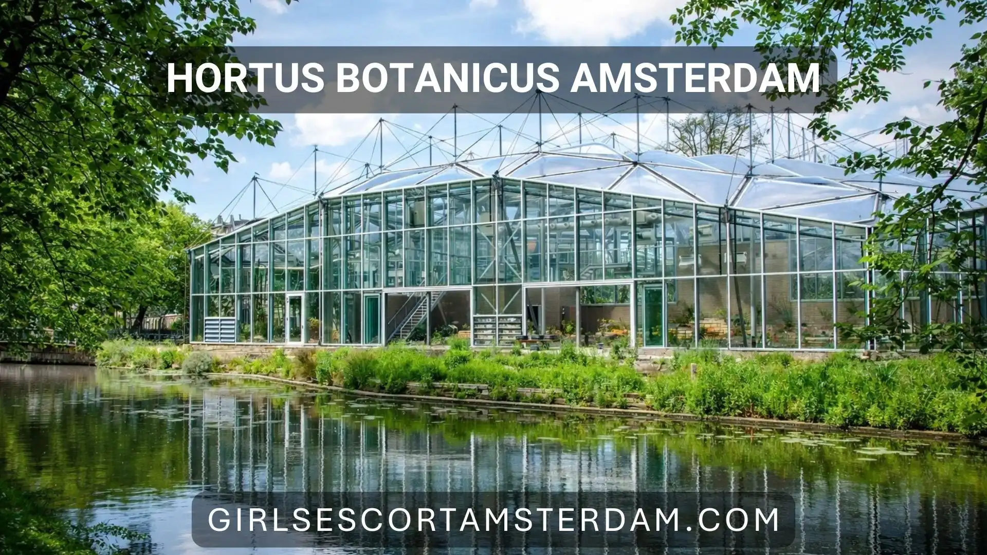 Escape to Amsterdam’s Botanical Garden