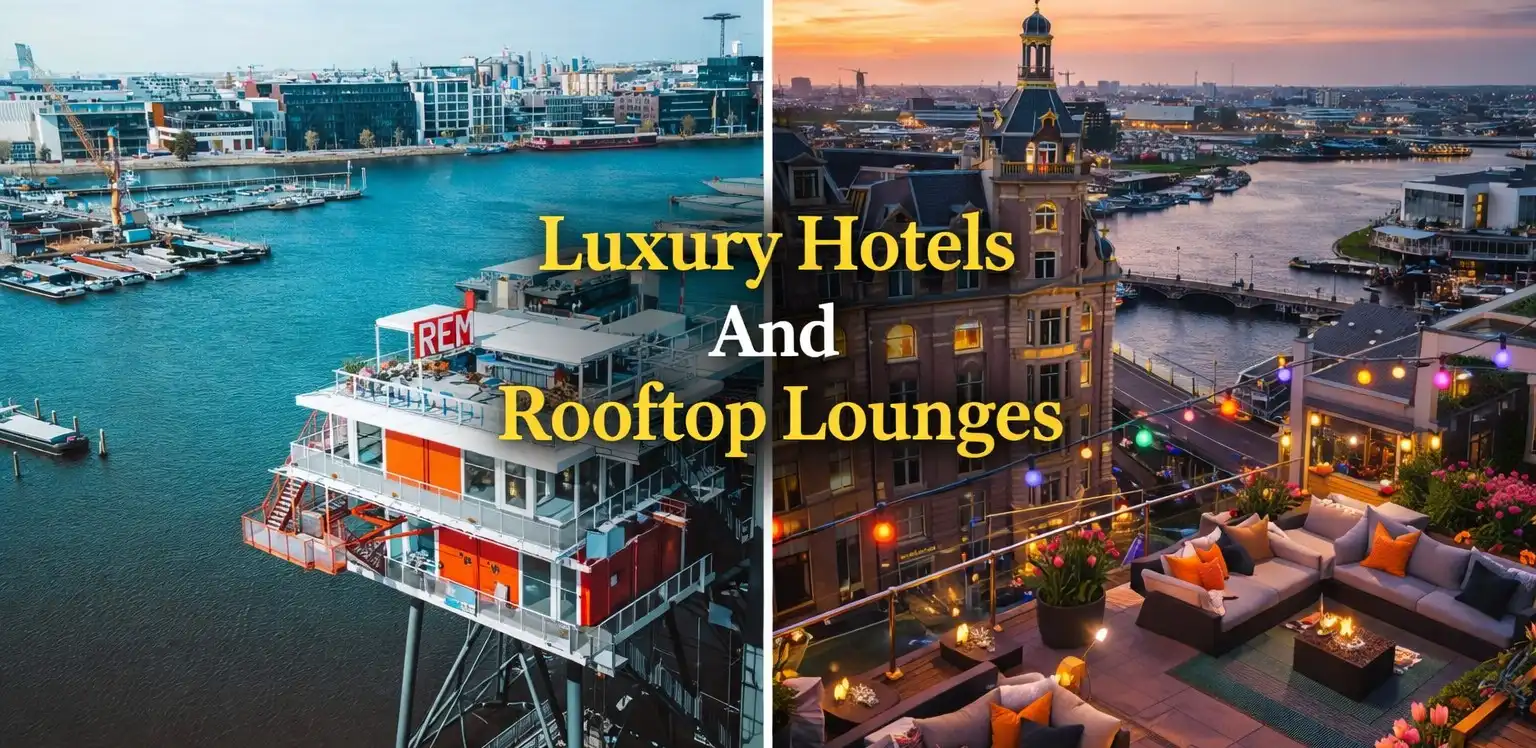 Luxury Hotels And Rooftop Lounges