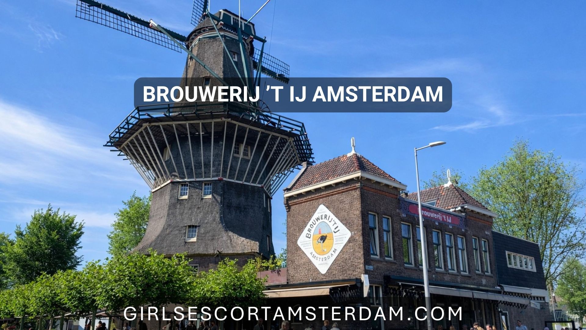 Sip Local Beer at a Brewery Beneath a Windmill