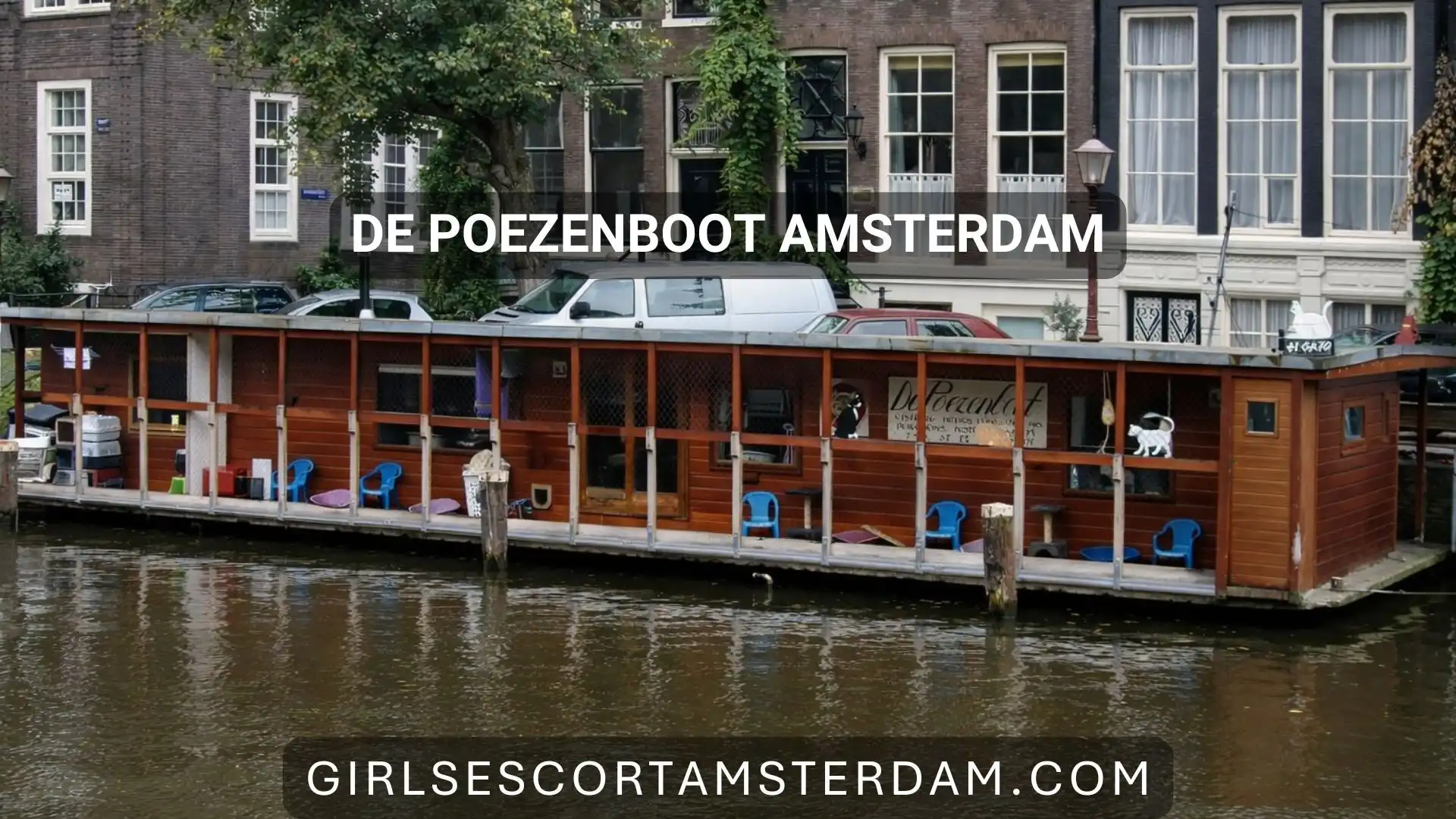 Visit Amsterdam’s Floating Cat Sanctuary