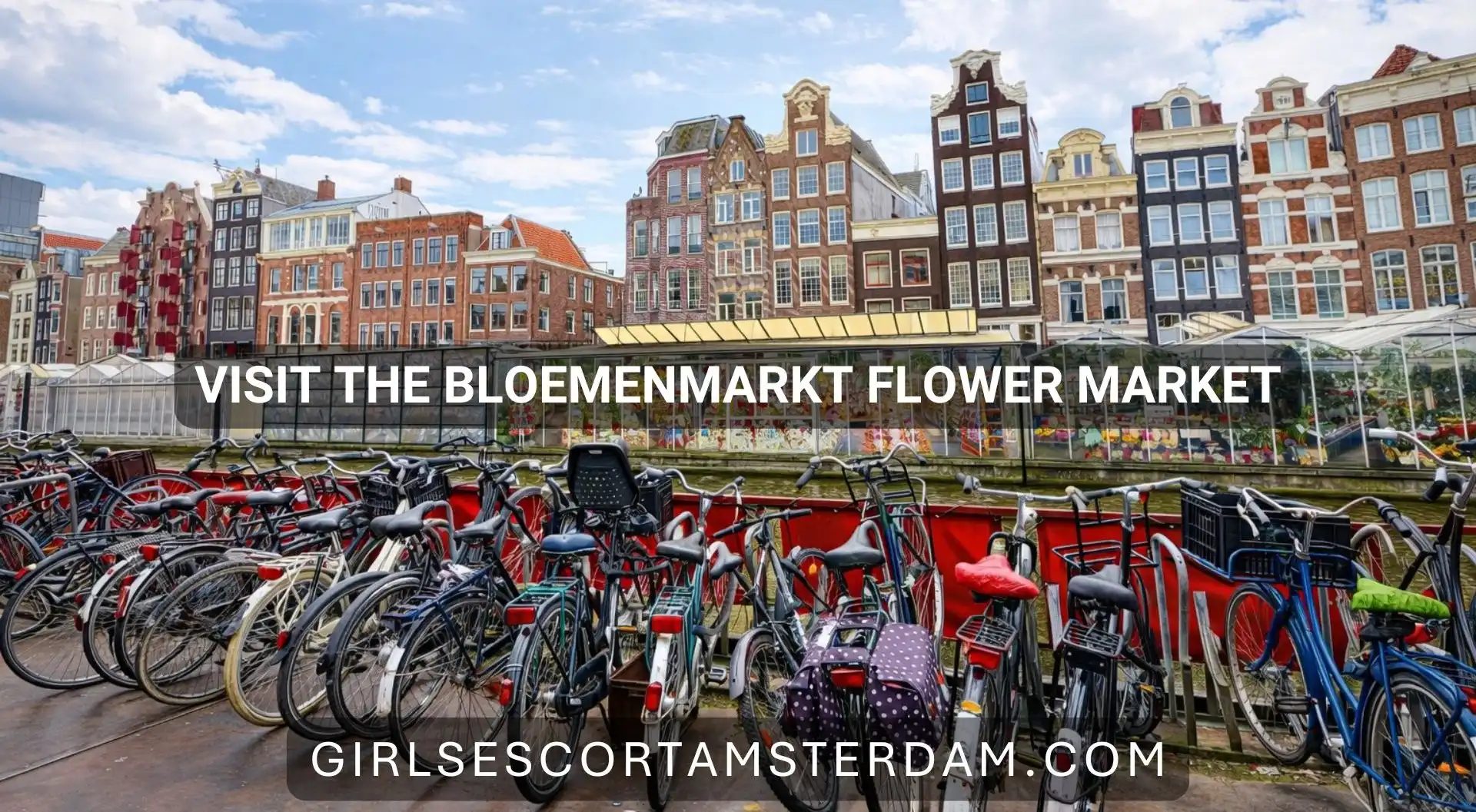 Browse Amsterdam’s Floating Flower Market